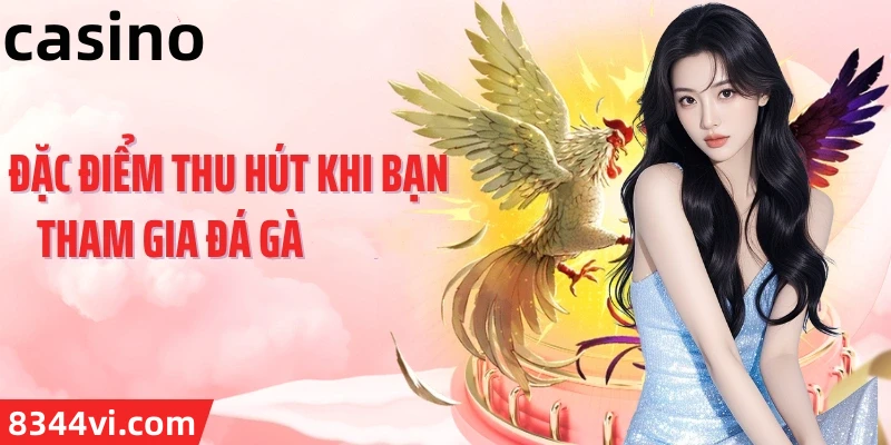 Hình ảnh quảng cáo của opgg hiển thị nền tảng và các lợi ích